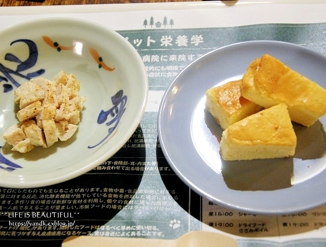 早春の旅_d0083623_23370422.jpg