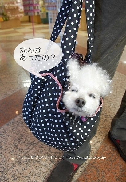 早春の旅_d0083623_23375354.jpg