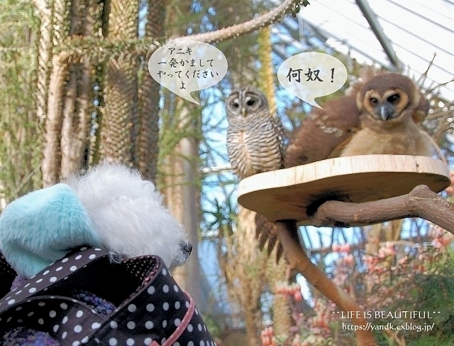 早春の旅_d0083623_23381476.jpg