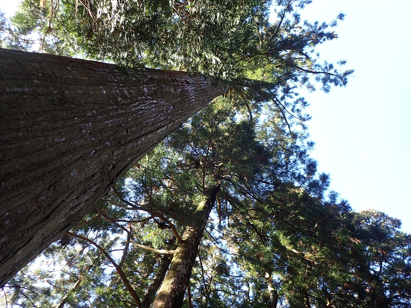 e0284726_23182045.jpg
