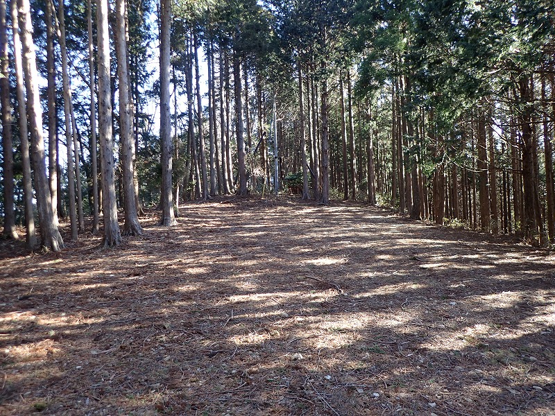 e0284726_2319763.jpg