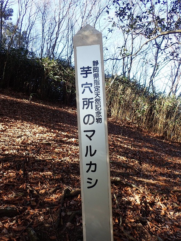 e0284726_23301314.jpg