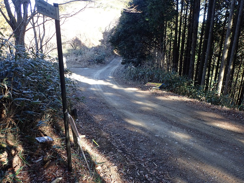 e0284726_23302537.jpg