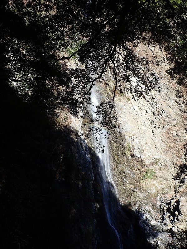 e0284726_23331518.jpg