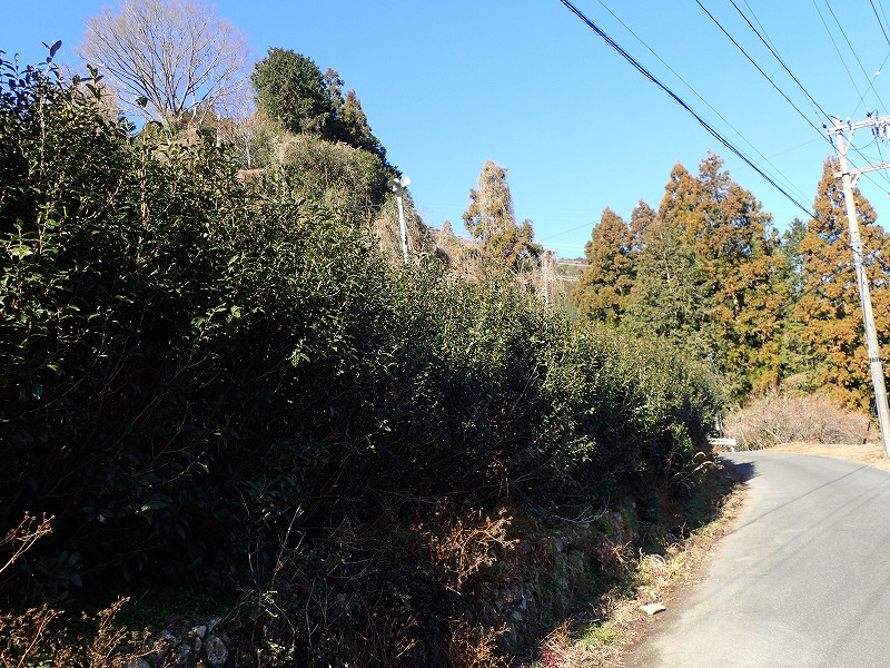 e0284726_23335166.jpg