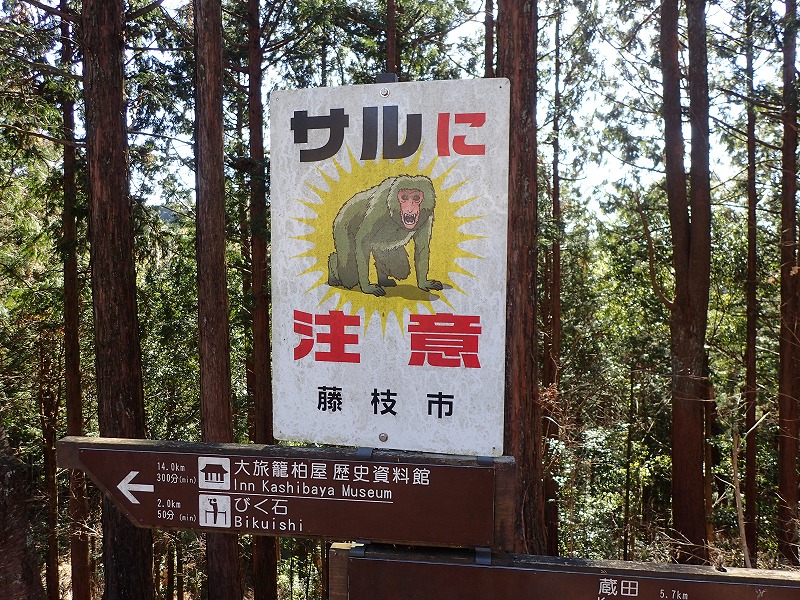 e0284726_2335471.jpg
