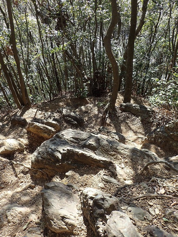 e0284726_23521313.jpg