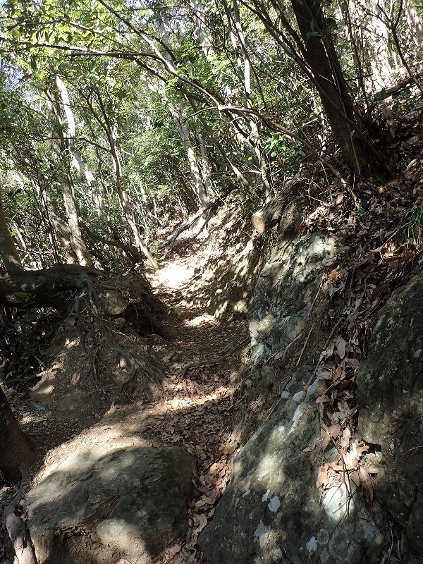 e0284726_2352595.jpg
