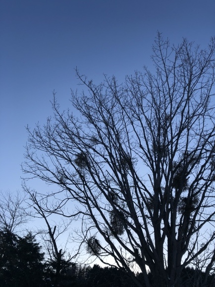 From北海道〜生きたい時に行ける場所〜_c0102228_17001258.jpeg
