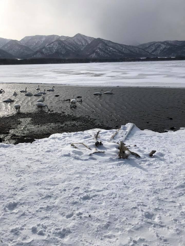 From北海道〜生きたい時に行ける場所〜_c0102228_18241726.jpg