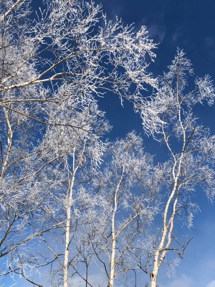 From北海道〜生きたい時に行ける場所〜_c0102228_18294775.jpg