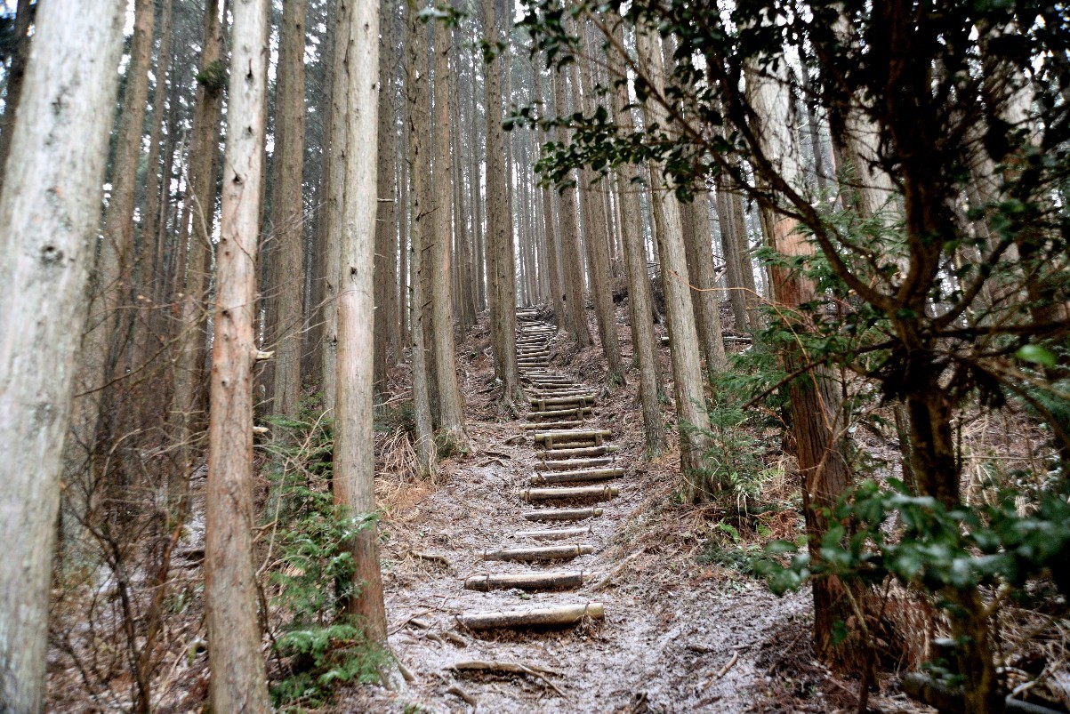 冬枯れの岩湧山イチヤ..._e0402439_17320564.jpg