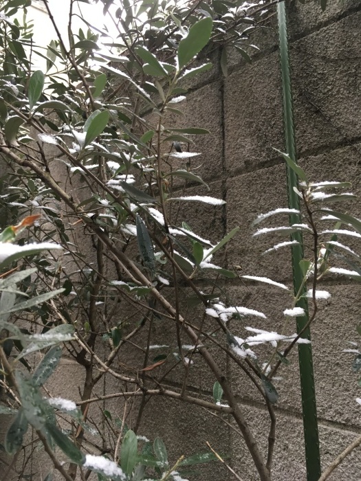 c0182843_11011201.jpeg
