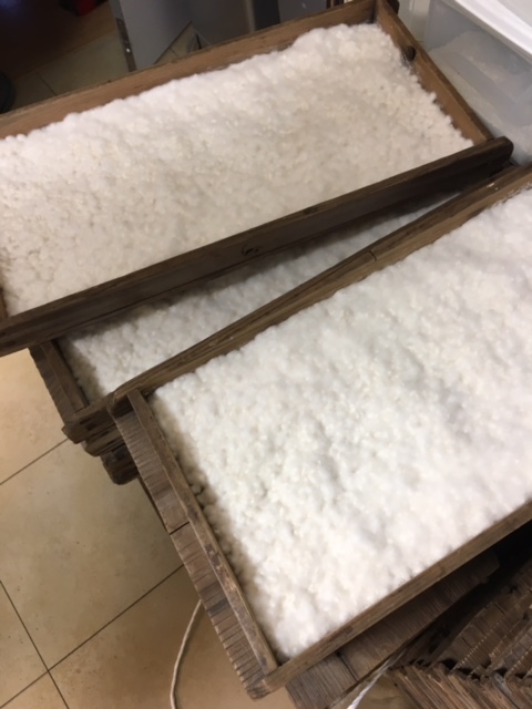 お味噌仕込み会 _f0306444_22155542.jpg