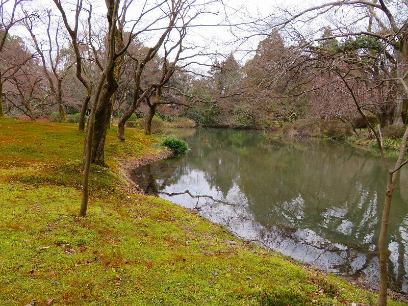 植物園の水辺の様子20190207_e0237645_21523241.jpg