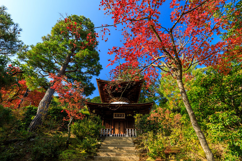 京の紅葉2018　艶秋・常寂光寺_f0155048_23255013.jpg