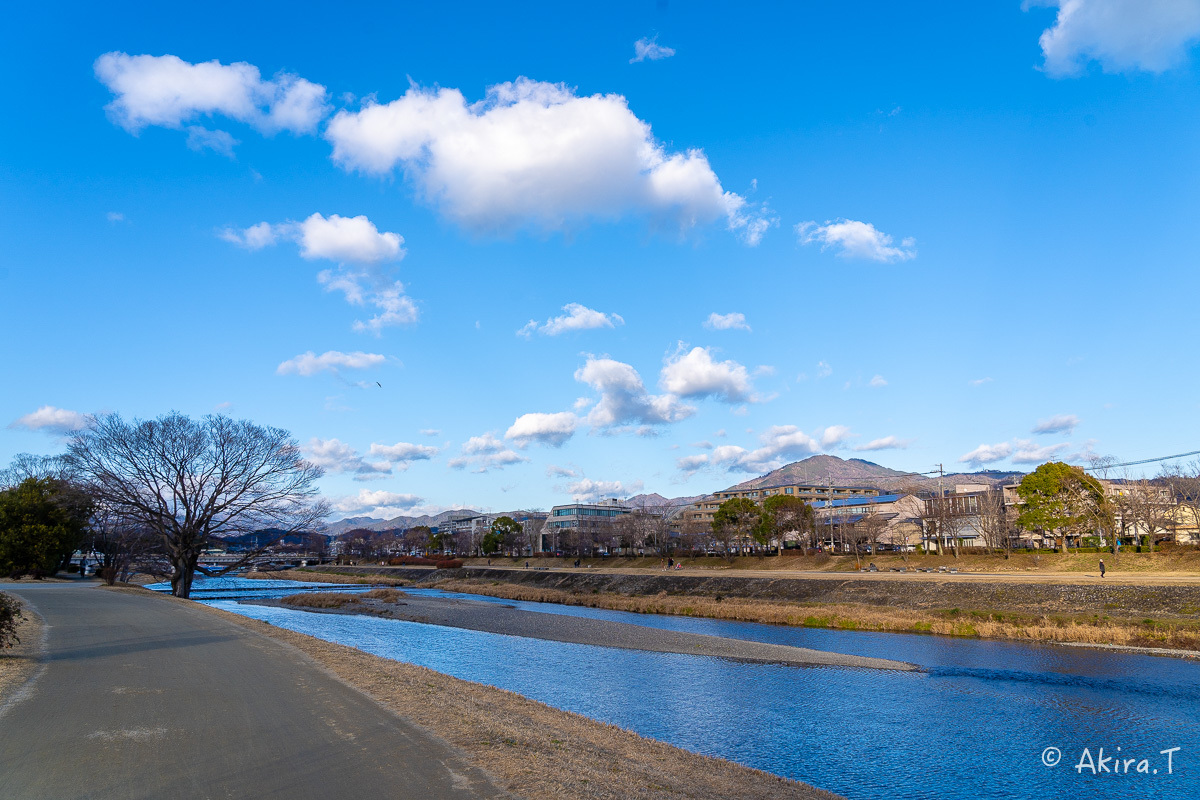 1月の鴨川..._f0152550_21363095.jpg