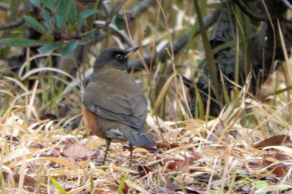 b0236251_14555829.jpg