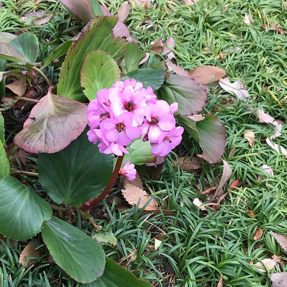 c0115560_12114576.jpg