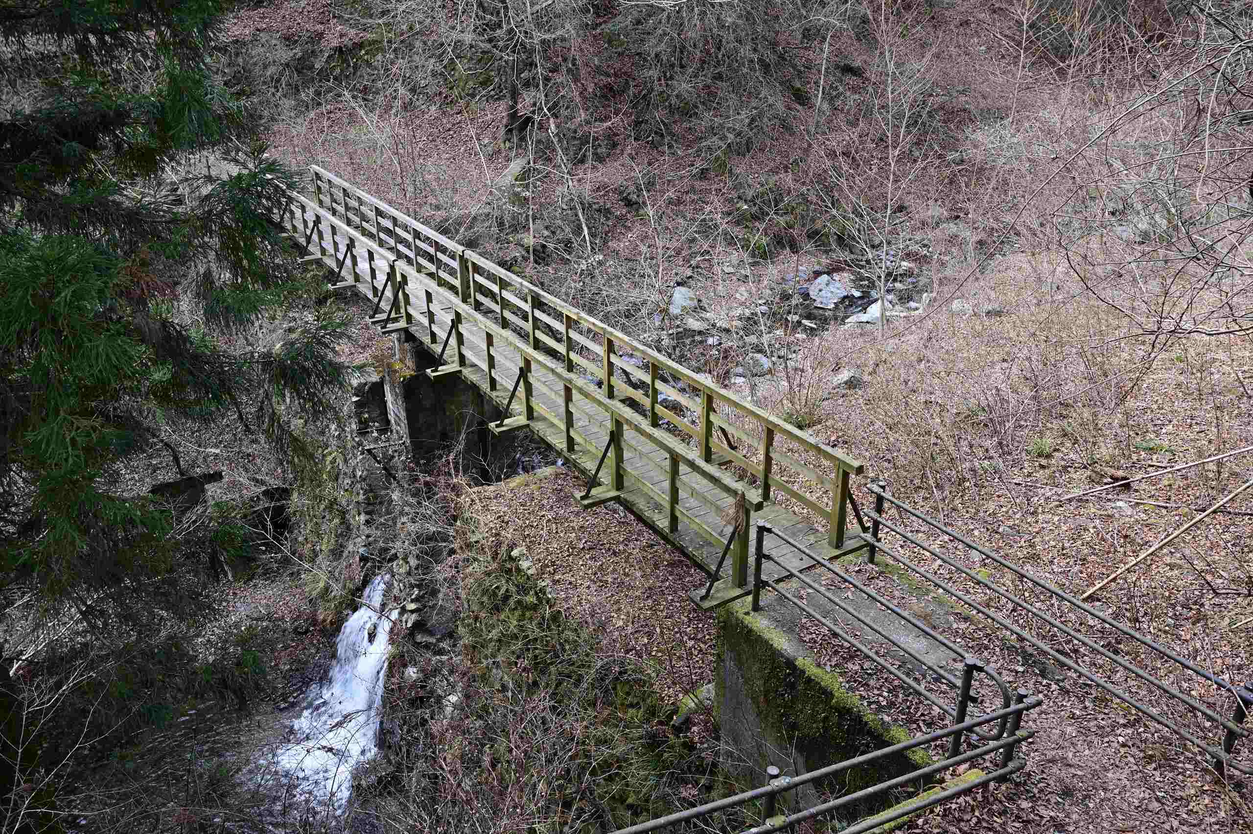 d0328977_14454276.jpg