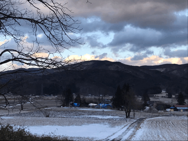 昨日はやっと念願の雪が降りました。_a0053480_03395648.gif