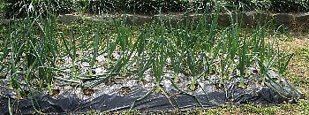 f0003283_09005808.jpg