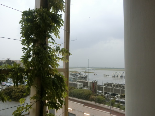 b0214184_07143942.jpg