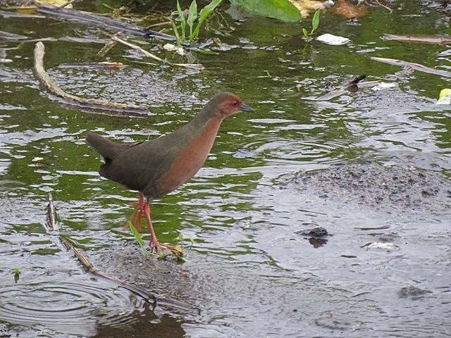 f0357487_19412017.jpg