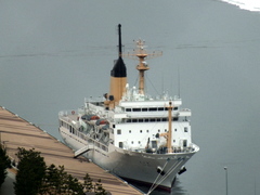 b0192588_8528.jpg