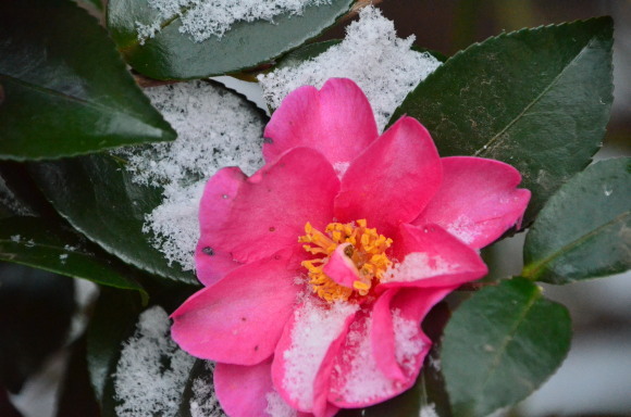 a0288500_08581036.jpg