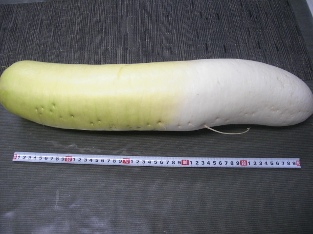 b0253101_02544621.jpg