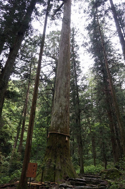 鳳来寺山登山記録（2017,5,14）_e0382915_11034588.jpg