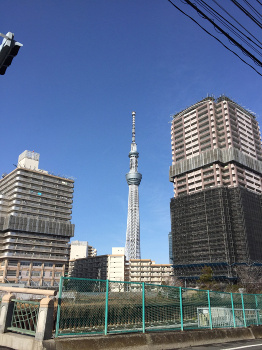 東京散歩 亀戸から上野 ハタ坊 釣り 鳥撮 散歩