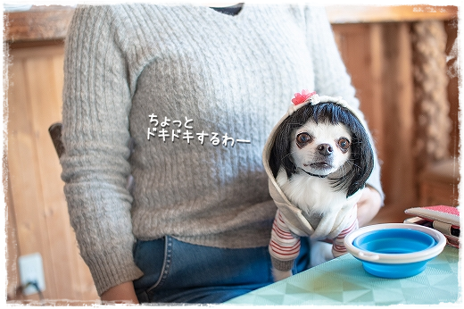d0179828_09415943.png