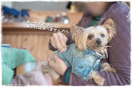 d0179828_09543509.png