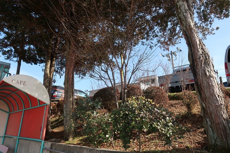懐かしいカレー_f0076731_21300592.jpg