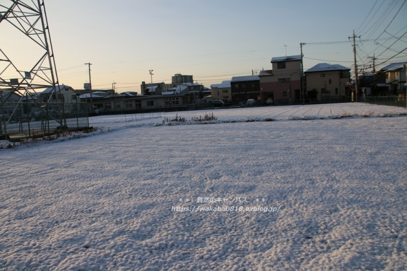e0052135_15545411.jpg