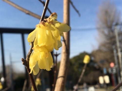 b0330040_21431364.jpeg