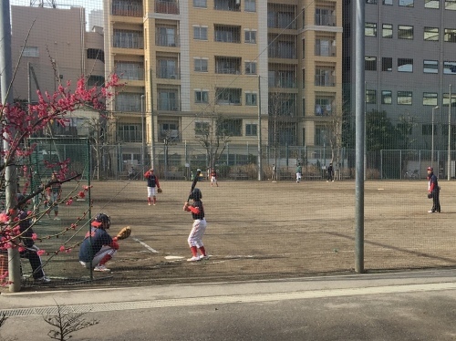 b0330040_22225834.jpeg