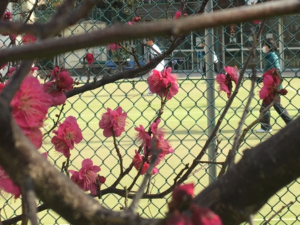 b0330040_22592857.jpeg