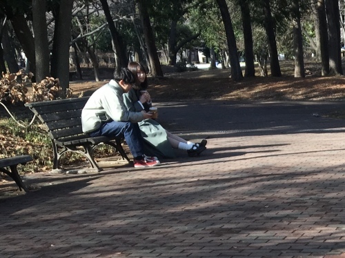 b0330040_23235016.jpeg