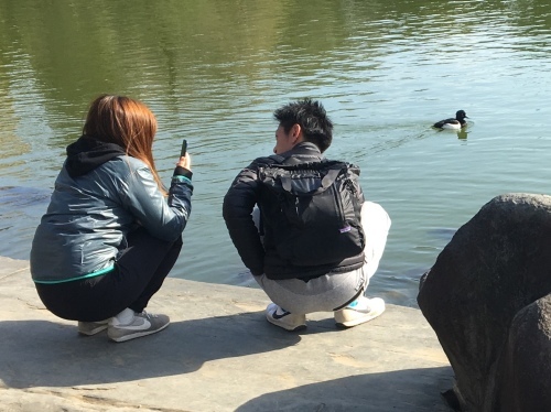 b0330040_23314279.jpeg