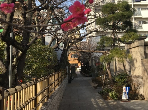b0330040_23520297.jpeg