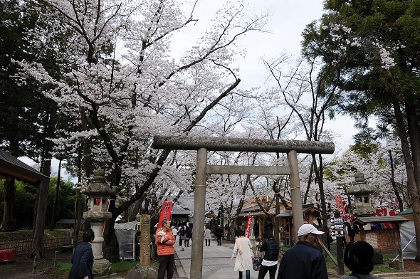 c0147241_22231438.jpg