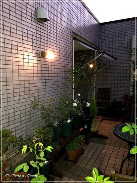 f0329049_21354137.jpg
