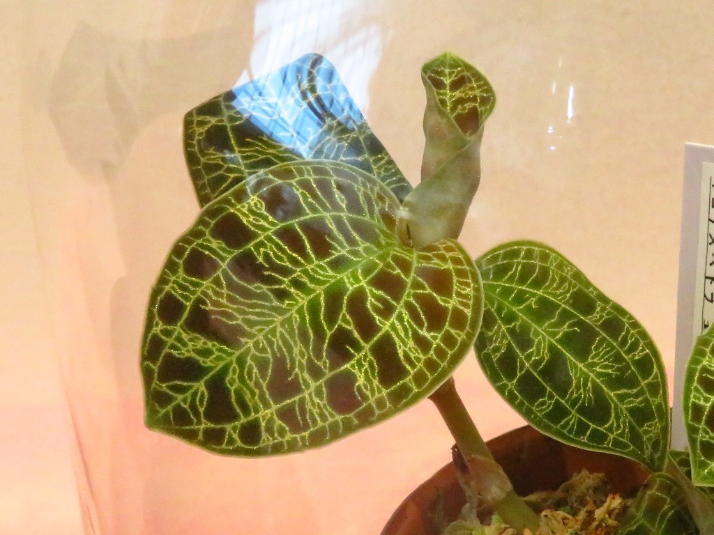 a0018655_14054887.jpg