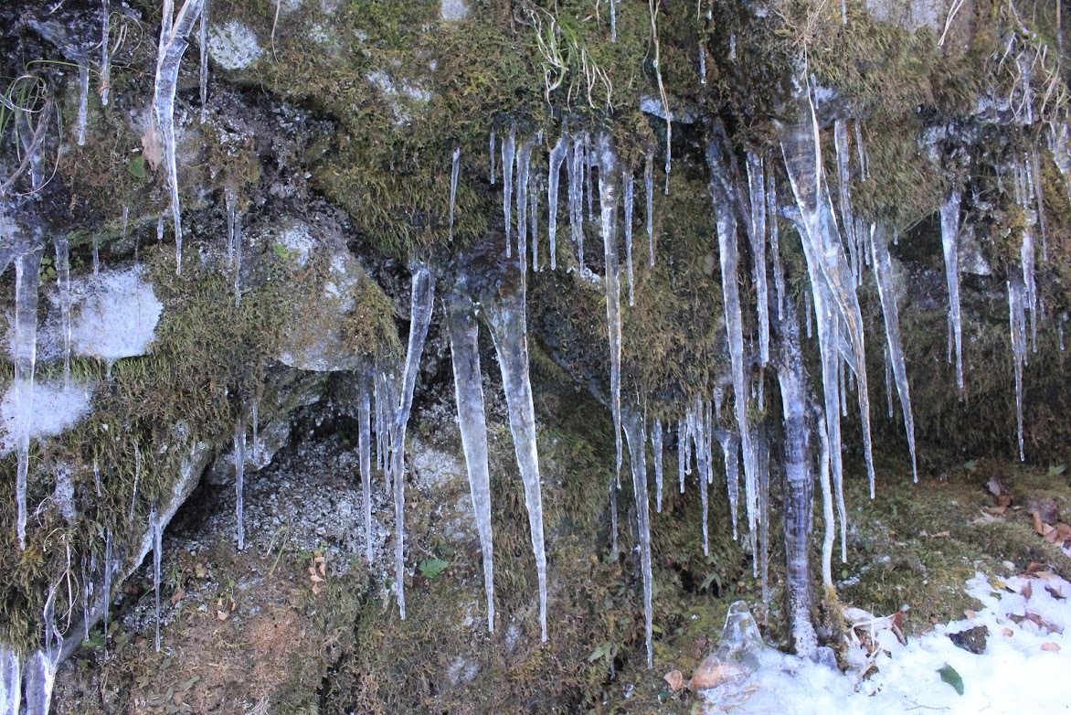 a0248459_13242783.jpg