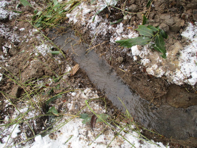 c0080863_13360073.jpg