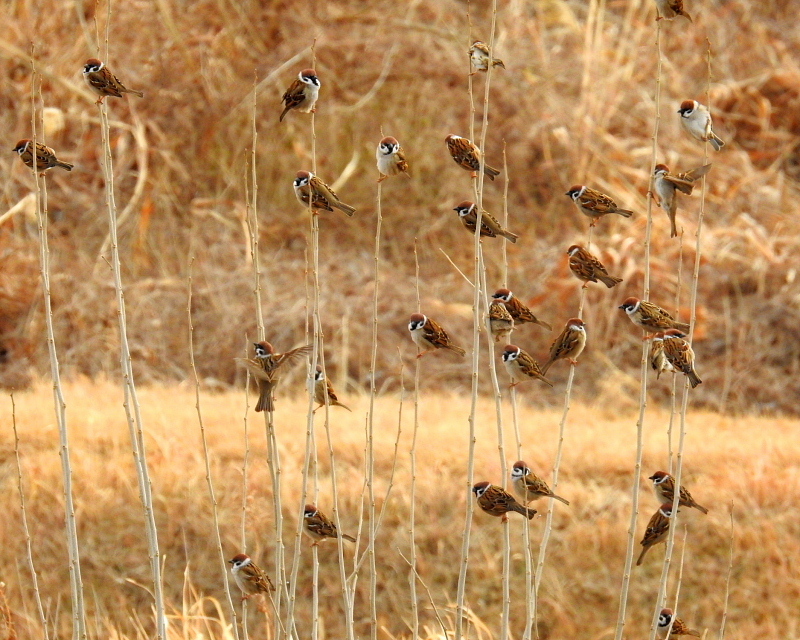 c0305565_17362360.jpg
