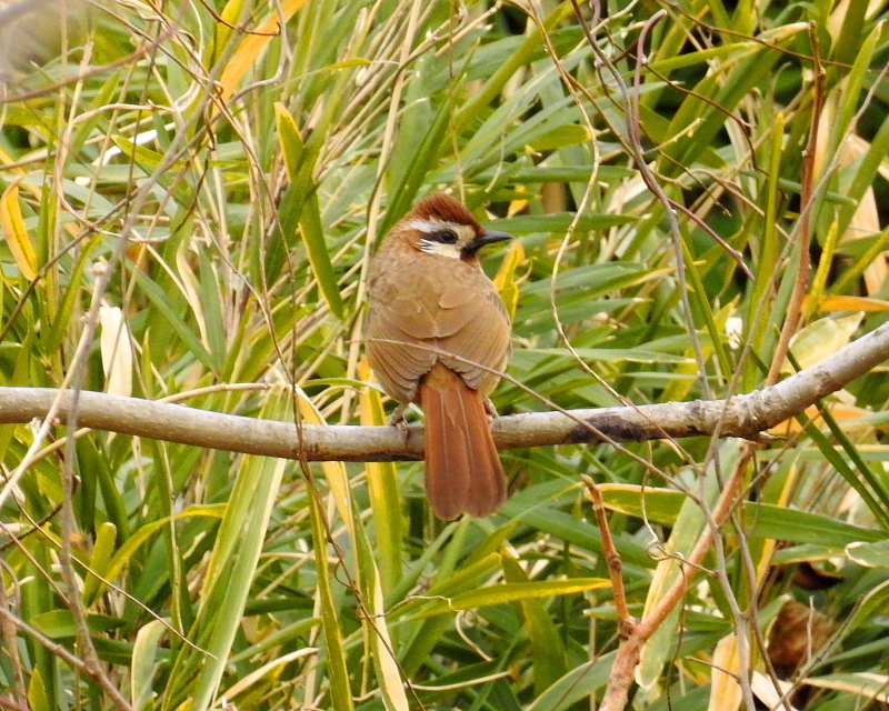 c0305565_17400134.jpg